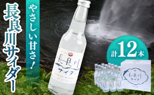 長良川サイダー 12本セット 炭酸飲料 爽快 瓶入りサイダー 岐阜市/岐阜県名産販売 [ANAB013]