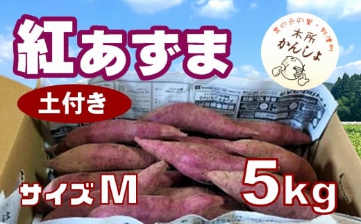 木所かんしょ（紅あずま）５㎏【栽培期間中化成肥料不使用】土付き さつまいも Mサイズ 1439077 - 大分県臼杵市