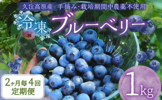 【2ヶ月毎4回 定期便】大分県久住高原産 『手摘みブルーベリー』 冷凍ブルーベリー 1kg 計4kg