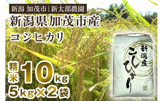 【令和6年産新米先行予約】新潟産コシヒカリ 精米 10kg（5kg×2袋）コシヒカリ 新潟産 米  お米 白米 有機肥料で育ったこだわり米 加茂市 新太郎農園 1341826 - 新潟県加茂市