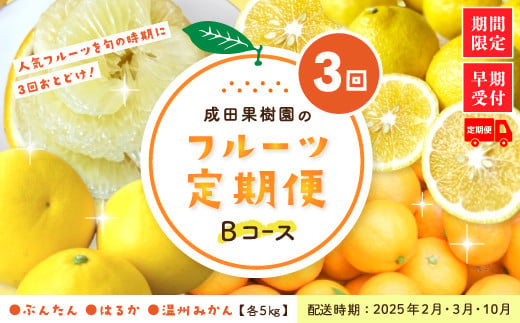 24-710．【3回定期便・早期受付・数量限定】＼人気フルーツを旬の時期にお届け！／成田果樹園のフルーツ定期便Bコース【配送時期：2025年2月・3月・10月】 1033941 - 高知県四万十市