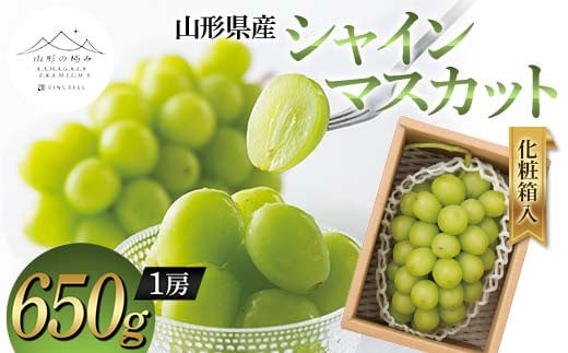 【山形の極み】山形県産 シャインマスカット 650g (1房) 化粧箱入 2024年9月中旬から順次発送 ぶどう 葡萄 果物 フルーツ F2Y-5965 1452248 - 山形県山形県庁