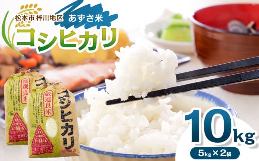 「あずさ米」コシヒカリ10kg│信州 長野県 松本市 コシヒカリ 10kg 米 こめ コメ 白米 精米 お取り寄せ 贈答 ごはん 贈り物 風味 1414978 - 長野県松本市