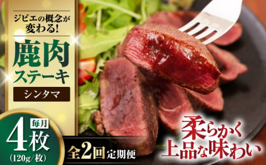 【全2回定期便】鹿肉 シンタマ120g×4枚 《喜茂別町》【EBIJIN】 ジビエ 鹿 シンタマ 希少部位 ステーキ ステーキ用 赤身 冷凍 冷凍配送 北海道 [AJAO044] 32000 32000円 1439200 - 北海道喜茂別町