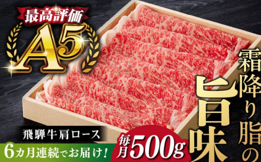 【6回定期便】飛騨牛 すきやき しゃぶしゃぶ 500g ロース（肩ロース） 5等級 A5 贅沢三昧定期便 国産 和牛 岐阜県 岐阜市/だるまミート [ANBE005]