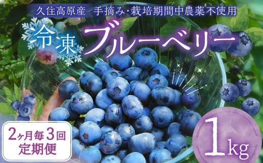 【2ヶ月毎3回 定期便】大分県久住高原産 『手摘みブルーベリー』 冷凍ブルーベリー 1kg 計3kg