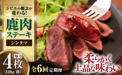 【全6回定期便】鹿肉 シンタマ120g×4枚 《喜茂別町》【EBIJIN】 ジビエ 鹿 シンタマ 希少部位 ステーキ ステーキ用 赤身 冷凍 冷凍配送 北海道 [AJAO046] 96000 96000円 1439202 - 北海道喜茂別町