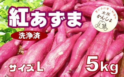 木所かんしょ（紅あずま）５㎏【栽培期間中化成肥料不使用】洗浄済 さつまいも Lサイズ 1439074 - 大分県臼杵市