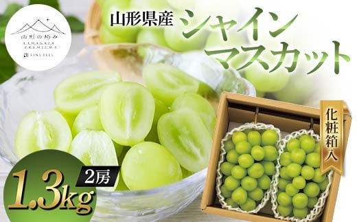 【山形の極み】山形県産 シャインマスカット 1.3kg (2房) 化粧箱入 2024年9月中旬から順次発送 ぶどう 葡萄 果物 フルーツ F2Y-5966 1452249 - 山形県山形県庁