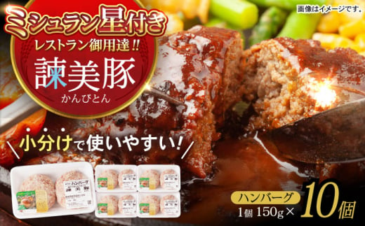 諫美豚ハンバーグ 10個（各150g）計1.5kg / 豚肉 ハンバーグ はんばーぐ おかず 惣菜 冷凍 / 諫早市 / 土井農場 [AHAD064] 1438398 - 長崎県諫早市