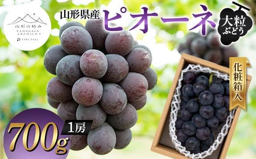 【山形の極み】山形県産 大粒ぶどう ピオーネ 700g (1房) 化粧箱入 2024年9月中旬から順次発送 ぶどう 葡萄 果物 フルーツ F2Y-5981 1452256 - 山形県山形県庁