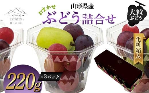 【山形の極み】山形県産 大粒ぶどう おまかせ カップ 660g 化粧箱入 2024年9月中旬から順次発送 ぶどう 葡萄 果物 フルーツ F2Y-5987 1452035 - 山形県山形県庁