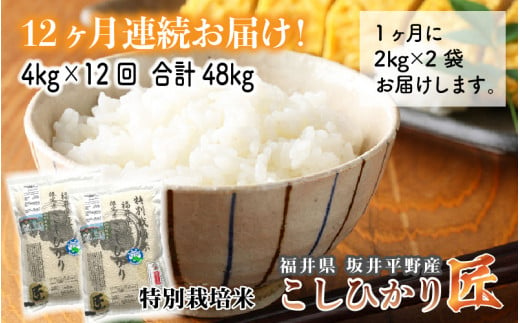 【令和6年産・新米】【12ヶ月連続お届け】 ワンランク上の農薬・化学肥料不使用 福井県産 コシヒカリ匠 4㎏ ×12回 計48㎏（玄米） [M-2901_02]