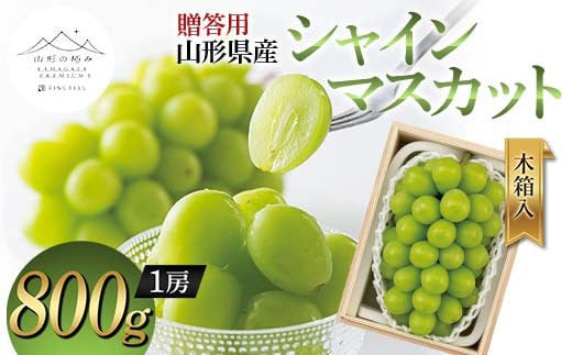 【山形の極み】贈答用 山形県産 シャインマスカット 800g (1房) 木箱入 2024年9月中旬から順次発送 ぶどう 葡萄 果物 フルーツ F2Y-5962 1452246 - 山形県山形県庁