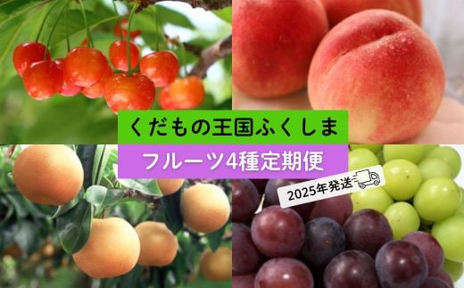 No.2549フルーツ4種 定期便 さくらんぼ 桃 梨 ぶどう【2025年 先行予約】 640994 - 福島県福島市