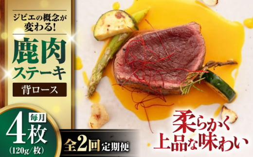 【全2回定期便】鹿肉 背ロース 120g×4枚 《喜茂別町》【EBIJIN】 ジビエ 鹿 ロース ステーキ ステーキ用 赤身 冷凍 冷凍配送 北海道 [AJAO036] 40000 40000円 1439192 - 北海道喜茂別町