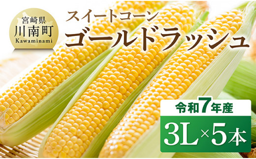 【令和7年発送】宮崎県産とうもろこし　スイートコーン「ゴールドラッシュ」3L×5本【新鮮 農家直送 トウモロコシ 産地直送 季節限定 期間限定 宮崎県産 九州産】