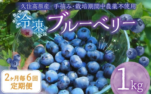 【2ヶ月毎6回定期便】大分県久住高原産 『手摘みブルーベリー』 冷凍ブルーベリー 1kg 計6kg