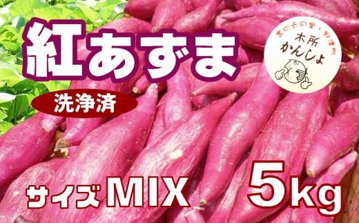 木所かんしょ（紅あずま）５㎏【栽培期間中化成肥料不使用】洗浄済 さつまいも ミックス 1439075 - 大分県臼杵市