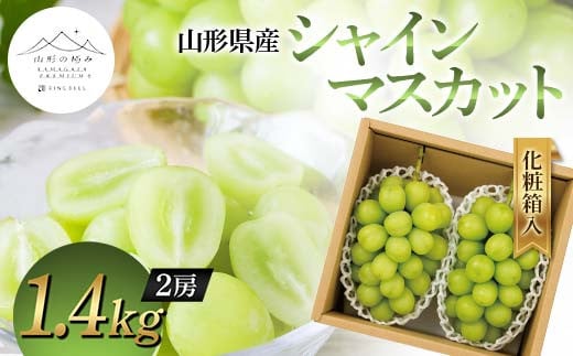 【山形の極み】山形県産 シャインマスカット 1.4kg (2房) 化粧箱入 2024年9月中旬から順次発送 ぶどう 葡萄 果物 フルーツ F2Y-5968 1452243 - 山形県山形県庁