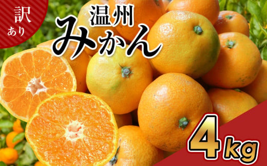 訳あり 温州 みかん 約 4kg 後藤農園 | フルーツ 果物 くだもの 柑橘 ミカン みかん 温州みかん 温州ミカン ご家庭用 家庭用 熊本県 玉名市 1455678 - 熊本県玉名市