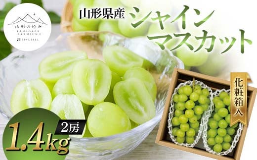 【山形の極み】山形県産 シャインマスカット 1.4kg (2房) 化粧箱入 2024年10月上旬から順次発送 ぶどう 葡萄 果物 フルーツ F2Y-5971 1452252 - 山形県山形県庁