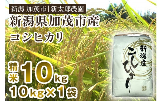 【令和6年産新米】新潟産コシヒカリ 精米 10kg（10kg×1袋）コシヒカリ 新潟産 米  お米 白米 有機肥料で育ったこだわり米 加茂市 新太郎農園 1341827 - 新潟県加茂市