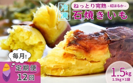 ＜12ヵ月定期便＞【訳あり】ねっとり甘い 紅はるかの冷凍石焼き芋1.5kg 全12回 | 茨城県 龍ケ崎市冷凍焼き芋 やきいも 焼き芋 焼いも スイーツ ダイエット 小分け ギフト プレゼント 国産 無添加 茨城県産 さつまいも サツマイモ お芋 いも おやつ 干し芋 石焼き芋 紅はるか シルクスイート 紅はるか ねっとり 甘い 完熟 熟成 冷凍 冷やし焼き芋 訳あり 1446689 - 茨城県龍ケ崎市