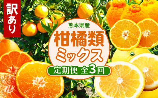 【 定期便 3回 】 訳あり 柑橘類 ミックス 定期便 みかん 不知火 河内晩柑 後藤農園 | フルーツ 果物 くだもの 柑橘 ご家庭用 家庭用 熊本県 玉名市 1457732 - 熊本県玉名市