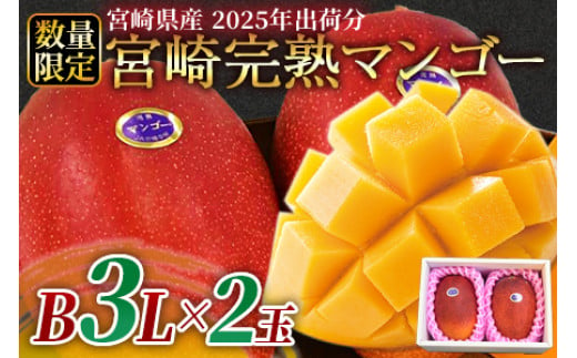 予約受付！数量限定！＜宮崎県産 完熟マンゴー B等級 3Lサイズ×2玉（合計約900g）＞2025年4月下旬～6月末迄に順次出荷【 果物 フルーツ くだもの 甘い トロピカル ギフト プレゼント 贈り物 贈答用 デザート 季節限定 旬 産地直送 】