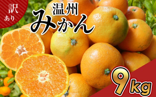 訳あり 温州 みかん 約 9kg 後藤農園 | フルーツ 果物 くだもの 柑橘 ミカン みかん 温州みかん 温州ミカン ご家庭用 家庭用 熊本県 玉名市 1455679 - 熊本県玉名市