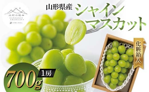 【山形の極み】山形県産 シャインマスカット 700g (1房) 化粧箱入 2024年9月中旬から順次発送 ぶどう 葡萄 果物 フルーツ F2Y-5964 1452247 - 山形県山形県庁