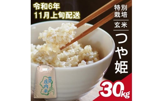 SF0197　11月上旬配送／令和6年産【玄米】特別栽培米 つや姫　30kg×1袋〈太ももの会〉 FU