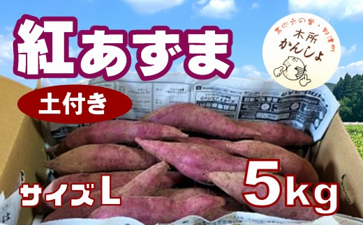 木所かんしょ（紅あずま）５㎏【栽培期間中化成肥料不使用】土付き さつまいも Lサイズ 1439078 - 大分県臼杵市