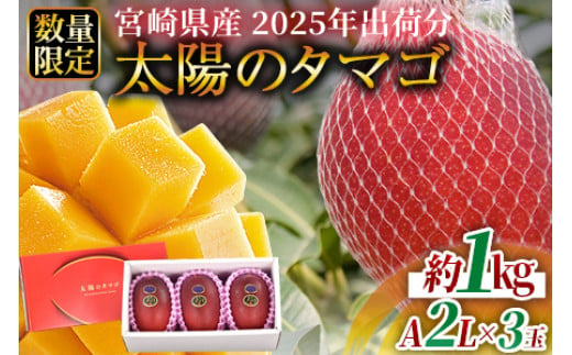 宮崎県国富町のふるさと納税 予約受付！数量限定【2025年発送】＜宮崎県産 太陽のタマゴ A等級 2Lサイズ×3玉（合計約1kg）＞【果物 くだもの フルーツ 太陽のタマゴ 太陽のたまご 完熟マンゴー ジューシー 果汁 かんじゅく 期間限定 先行予約 ギフト 贈答用 贈答品 贈り物  】2025年4月下旬～6月下旬迄に順次出荷