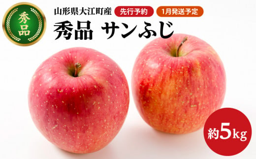 山形県大江町のふるさと納税 《先行予約》【1月発送予定】 サンふじ約5kg・秀品【大江町産・山形りんご・大地農産】【028-026】