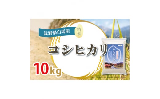 長野県白馬村のふるさと納税 ＜令和6年産新米＞白馬産コシヒカリ10kg【1490117】