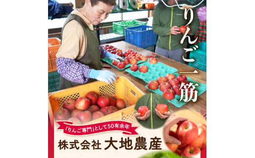 山形県大江町のふるさと納税 《先行予約》【1月発送予定】 サンふじ約5kg・秀品【大江町産・山形りんご・大地農産】【028-026】