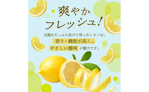 先行受付】国産檸檬（レモン）発祥の地 広島大長檸檬 10kg 広島県産 瀬戸内 柑橘 レモン 生産量日本一の広島 産地直送 送料無料 果物 フルーツ  12月初旬まではグリーンレモン それ以降はイエローレモン 呉市 フレッシュ 優しい酸味 先行予約 - 広島県呉市｜ふるさと ...