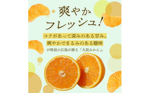 先行受付】広島県産 呉 大長みかん 10kg みかん ミカン 柑橘 果物 フルーツ 先行 受付 予約 お取り寄せ 広島県 呉市 大長 果実 果汁  ジューシー 甘い 甘味 酸味 コク 爽やか たっぷり フレッシュ 深みのある甘味 まるみのある酸味 先行予約 - 広島県呉市｜ふるさとチョイス -
