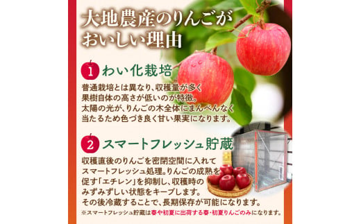 山形県大江町のふるさと納税 《先行予約》【1月発送予定】 サンふじ約5kg・秀品【大江町産・山形りんご・大地農産】【028-026】