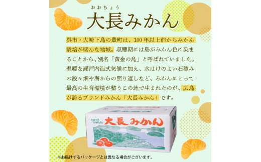 広島県産 呉 大長みかん 10kg みかん ミカン 柑橘 果物 フルーツ 先行 受付 予約 お取り寄せ 広島県 呉市 大長 果実 果汁 ジューシー  甘い 甘味 酸味 コク 爽やか たっぷり フレッシュ 深みのある甘味 まるみのある酸味 先行予約 - 広島県呉市｜ふるさとチョイス -