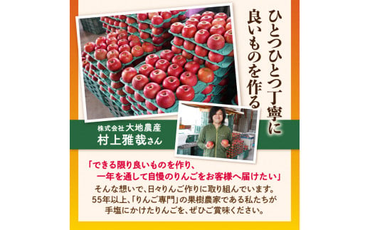 山形県大江町のふるさと納税 《先行予約》【1月発送予定】 サンふじ約5kg・秀品【大江町産・山形りんご・大地農産】【028-026】