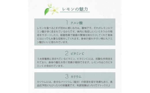 国産檸檬（レモン）発祥の地 広島大長檸檬 2.5kg 広島県産 瀬戸内 檸檬 レモン 生産量日本一の広島 産地直送 送料無料 果物 柑橘 フルーツ  12月初旬まではグリーンレモン それ以降はイエローレモン 呉市 フレッシュ 先行予約 - 広島県呉市｜ふるさとチョイス - ふるさと ...