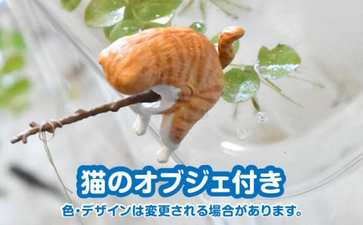 愛知県愛西市のふるさと納税 メダカスターターキット アクアリュウムタワー ブラック  スターターキット 水槽 セット 愛西市/株式会社プロスパージャパン [AEAK005]