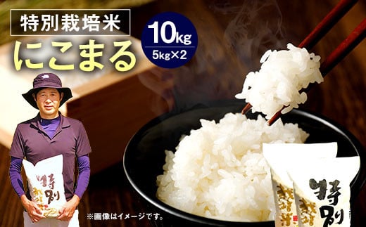 【令和6年産】 相良村産 特別栽培米 にこまる10kg 【2024年10月下旬～2025年10月下旬発送予定】 お米 白米 精米 1456443 - 熊本県相良村