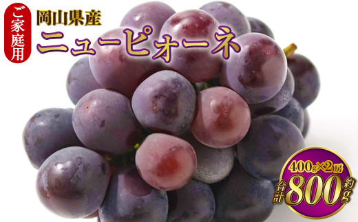 ご家庭用 岡山県産 ニューピオーネ 約800g（400g×2房） 【2025年8月下旬～9月下旬迄発送予定】 果物 くだもの フルーツ ぶどう ブドウ 葡萄