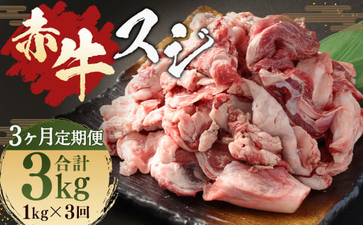 [ 3ヶ月 定期便 ] 赤牛 スジ 1kg ( 合計 3kg )冷凍 お肉 肉 牛肉 牛 牛すじ スジ肉 熊本 和牛 国産 煮込み 煮込