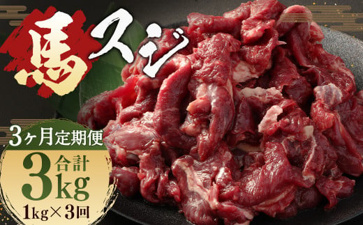 [ 3ヶ月 定期便 ] 馬スジ 1kg ( 500g × 2パック) 合計 3kg 冷凍 肉 お肉 馬肉 馬 スジ肉 スジ 煮込み 煮物 熊本