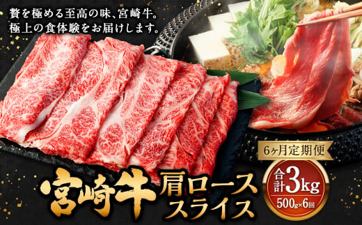 牛肉 1 人気 パック